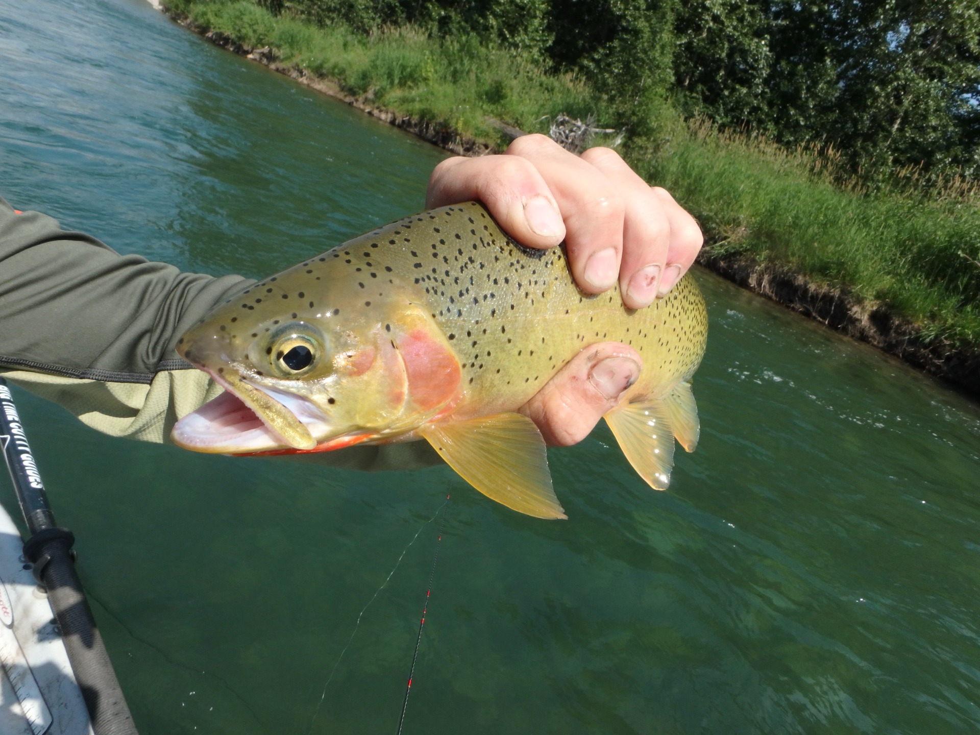 海外釣り旅フォトギャラリー