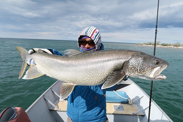 レイクトラウトの剥製 中禅寺湖釣行】初めてのレイクトラウトを求めて | 釣リズム