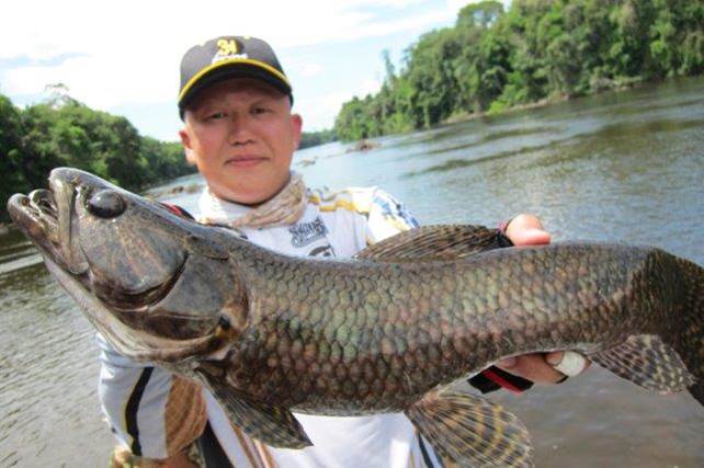 初アマゾンが釣り魂に火をつけた!?